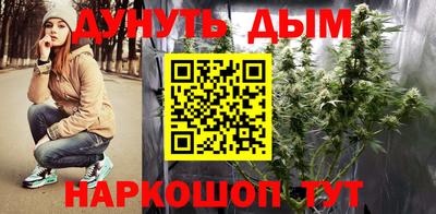 крисы Лесосибирск