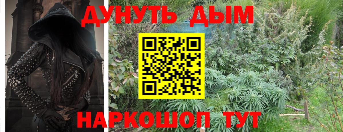 Бошки Шишки ГИДРОПОН  Бошки Шишки THC 21%  Бошки марихуана марихуана  Брянск  Вход с VPN 